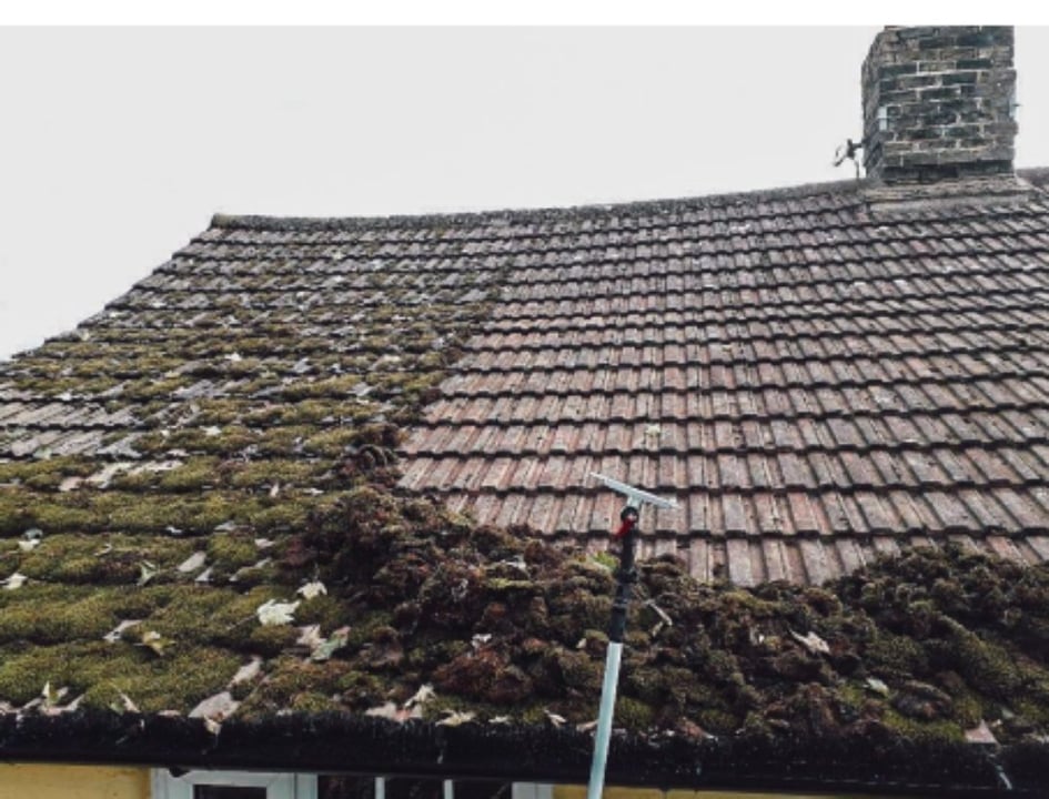 Dry Roof Cleaning